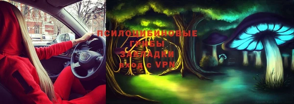 прущие грибы Вяземский