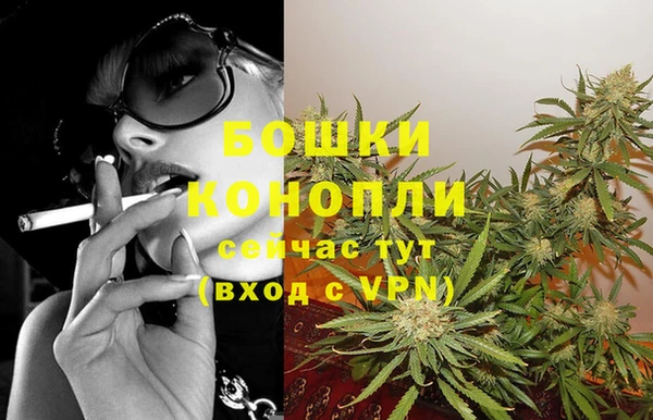 прущие грибы Вяземский