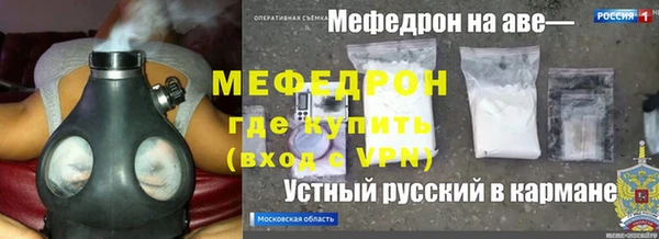 прущие грибы Вяземский