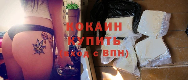 сатива Вязьма
