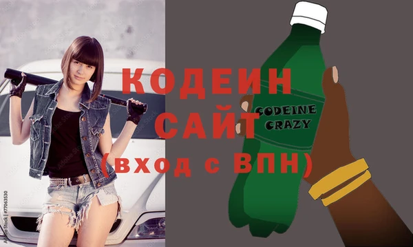прущие грибы Вяземский