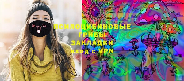 сатива Вязьма