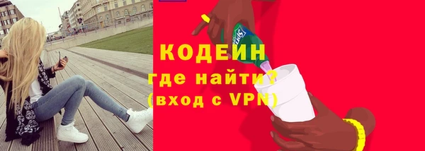 прущие грибы Вяземский