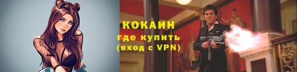 сатива Вязьма