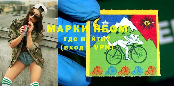 прущие грибы Вяземский