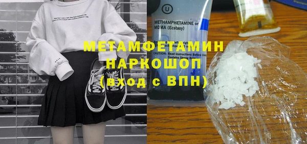 прущие грибы Вяземский
