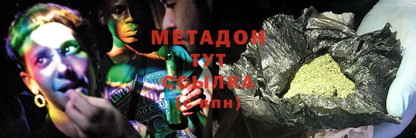 прущие грибы Вяземский