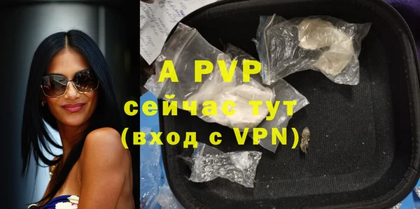 сатива Вязьма